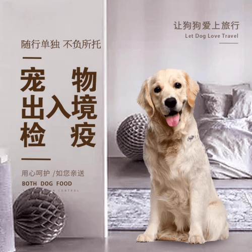 昌江县宠物托运到哥伦比亚猫狗宠物入境规定和