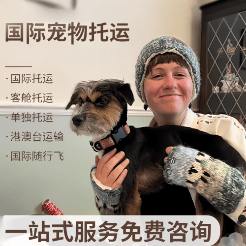 昌江县国际宠物托运到阿根廷宠物入境规定和要