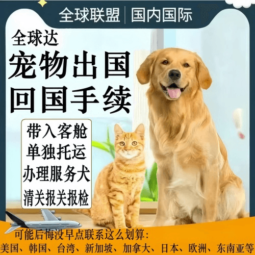 昌江县宠物托运到柬埔寨宠物入境规定和要求