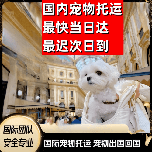 昌江县到澳大利亚（澳洲）宠物入境规定和要求