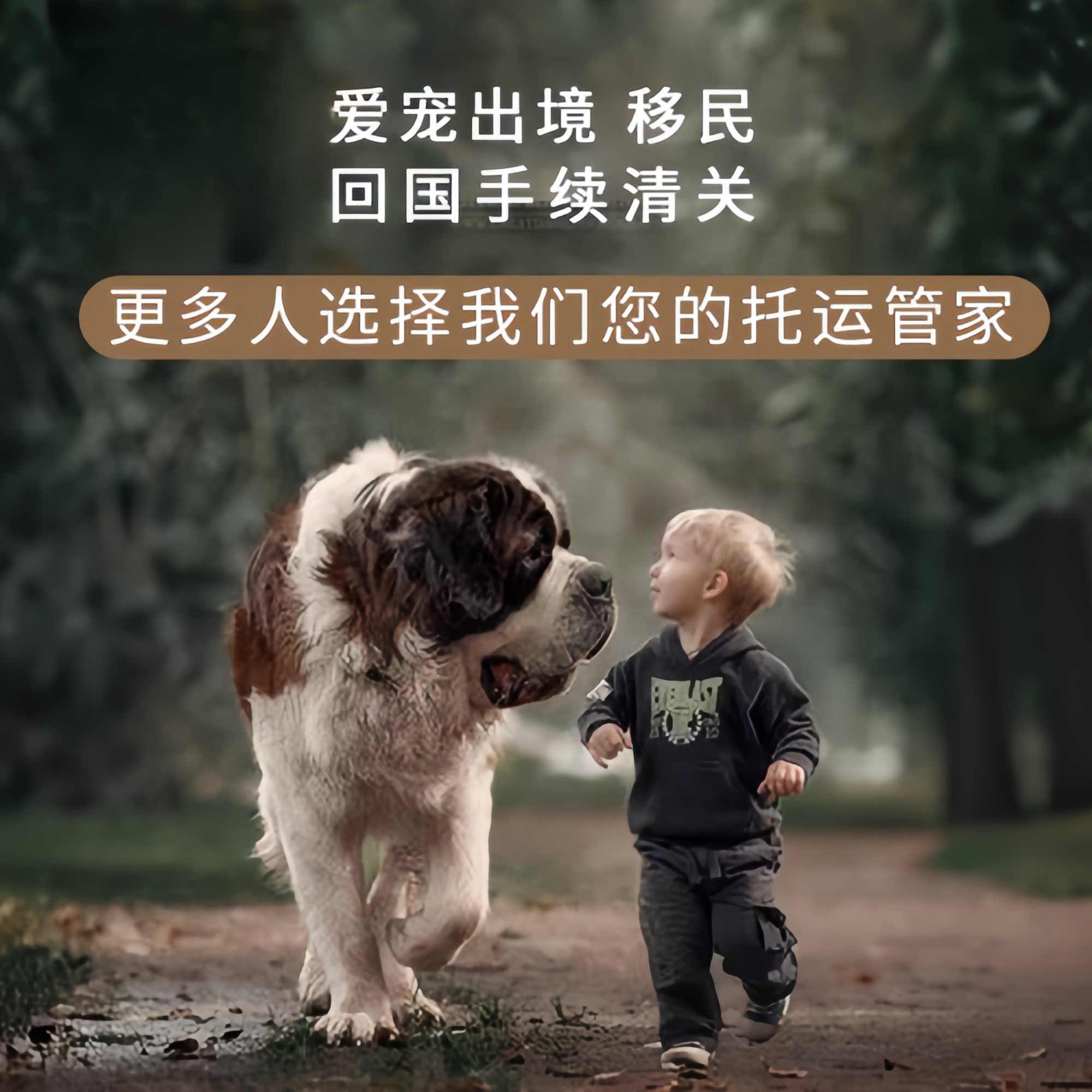 满财昌江县宠物全球达宠物托运在遵守入境目的地政策的条件