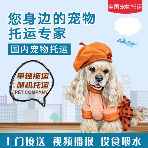 满财昌江县宠物全球达宠物托运作为专业的宠物运输代理机构